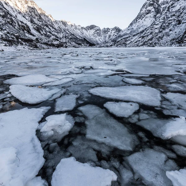 Lofoten Adaları Nda Kış Mevsiminde Göl Manzarası Kar Buz Eriyor — Stok fotoğraf