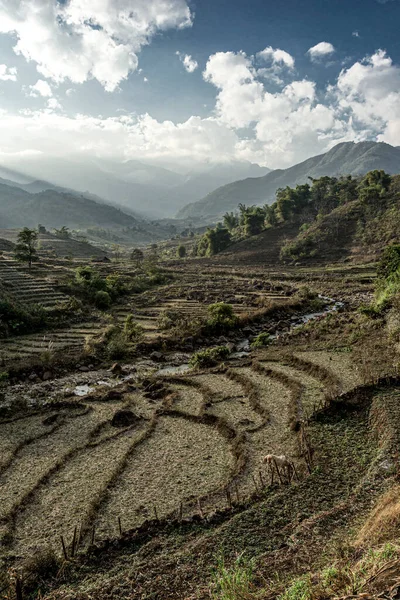 Aera Çevresindeki Bulutlu Bir Günde Pirinç Tarlası Manzarası — Stok fotoğraf