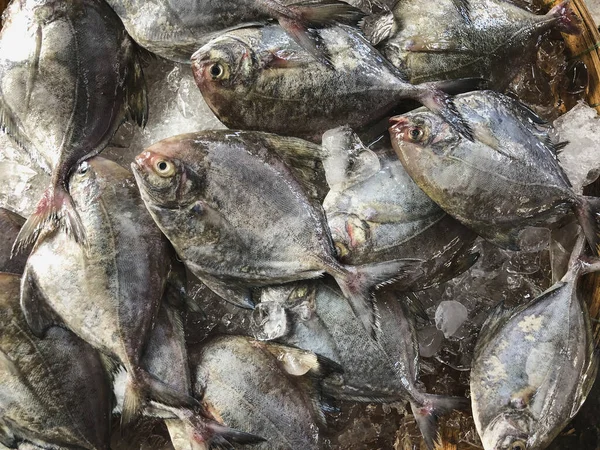 Top View Assortment Loose Fish Sale Fish Market Hue Market — Stock Photo, Image