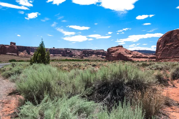 Paisaje de arcos parque nacional, utah — Foto de Stock