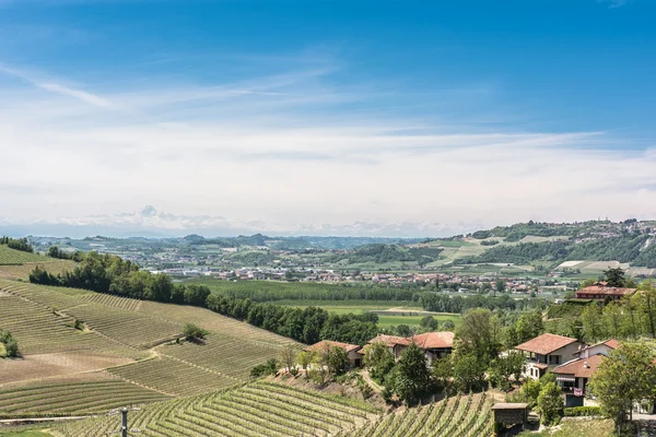 Paysage autour de Barbaresco, Alba, Italie — Photo