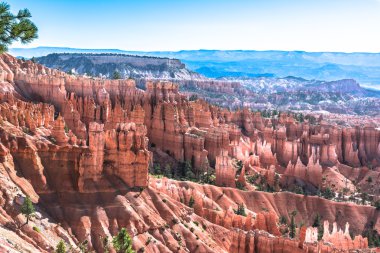 Bryce Canyon Ulusal Parkı, Utah