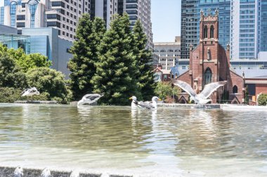 San Patrick Kilisesi, San Francisco