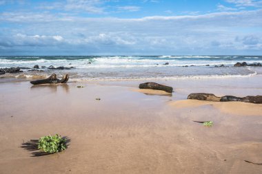 Lihue kum plaj, Kauai, Hawaii