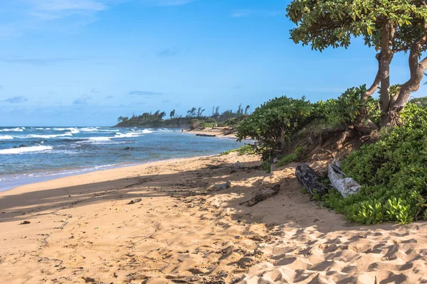 Lihue, Kauai, Hawaii kıyısında