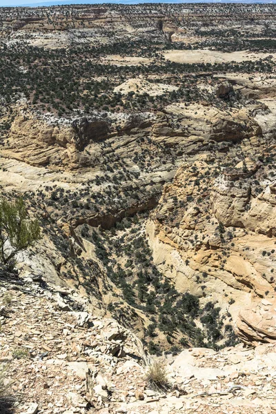 Salt Wash paisagem, Utah — Fotografia de Stock