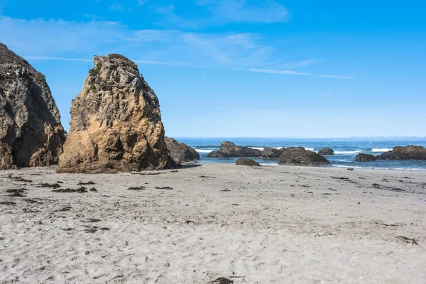 Fort Brag coasth, California — Stock Photo, Image