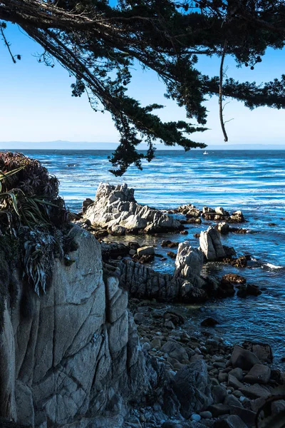 Costa de Monterey, Califórnia — Fotografia de Stock