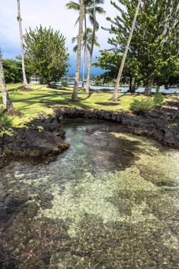 Büyük ada 'da Hilo Körfezi, Hawaii