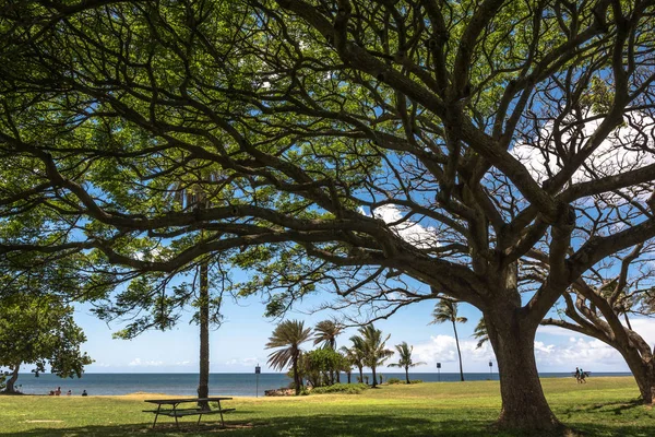 Парк Халейва в Норт-Шор, Оаху, Гавайи — стоковое фото