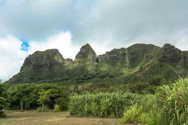 Kauai, Hawaii Kalalea dağlar