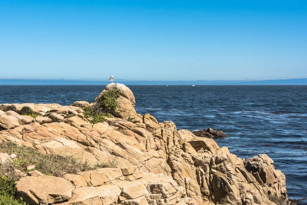 A costa de Monterey, Califórnia — Fotografia de Stock