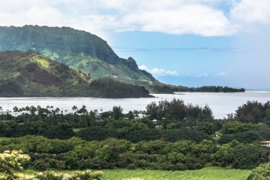 Hanalei'deki kenarı, Kauai, Hawaii