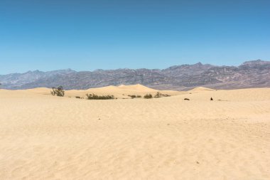 Ölüm Vadisi, kum tepeleri, California