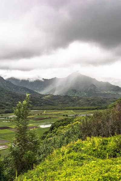 Hanalei Долина смотровая в Кауаи, Гавайи — стоковое фото