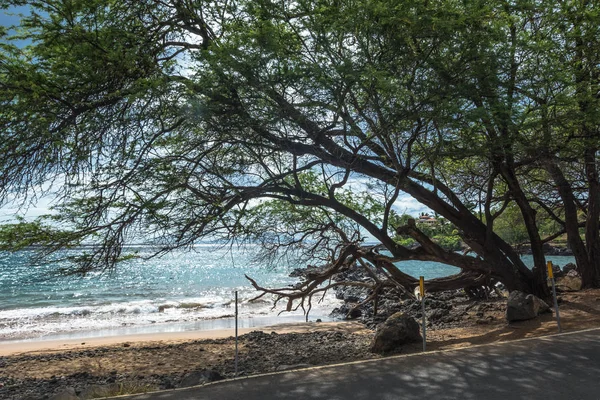 Побережье Мауи, Гавайи — стоковое фото