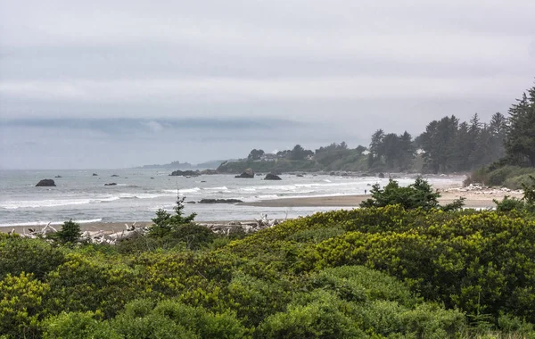 Zuidelijke Oregon Coast — Stockfoto