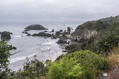 Gökkuşağı Rock sahil, Oregon