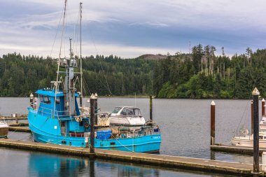 Siuslaw Nehri Floransa, Oregon