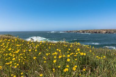 Fort Bragg, California BirazdanNoyo Nehri'nin ağzında;
