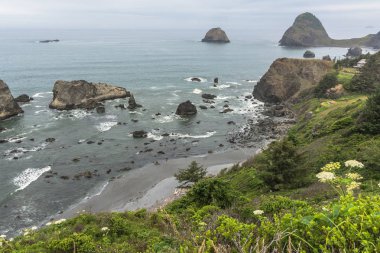 Kıyı boyunca Brookings, Oregon