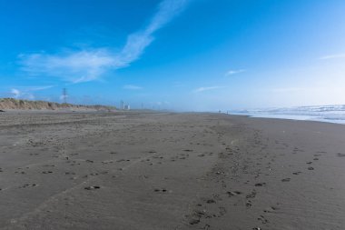 Eureka kum beach, California