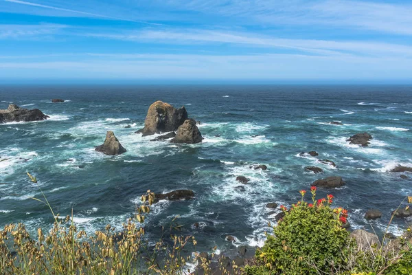 De kust langs Fort Bragg, Californië — Stockfoto