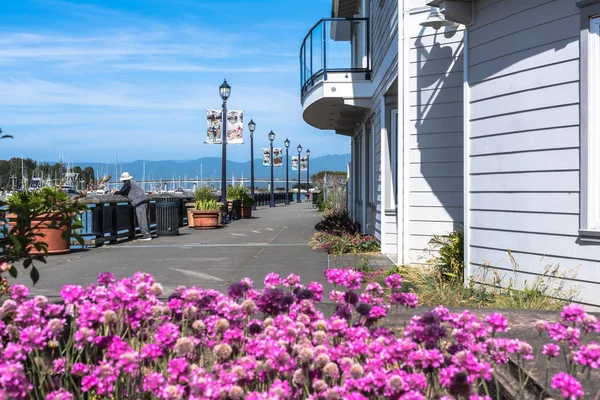 Eureka Boardwalk, Kalifornie — Stock fotografie