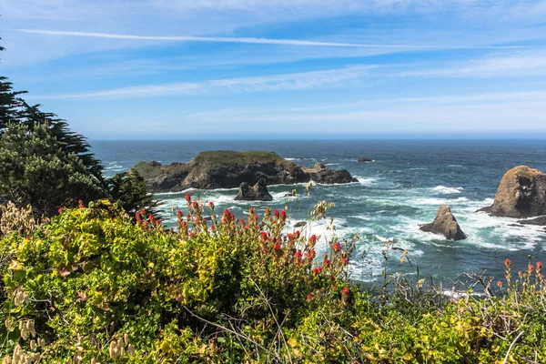 Fort Brag kust, Californië — Stockfoto