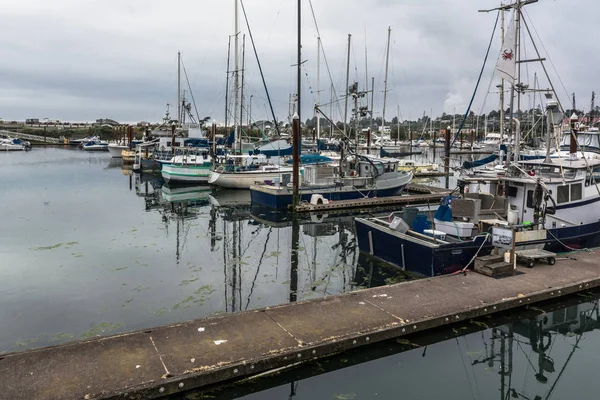 Brookings Harbor, Oregon — Stok fotoğraf