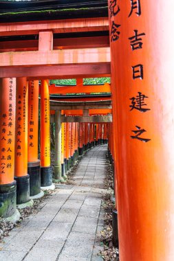 Kyoto, Fushimi ku, Japonya, Asya - 5 Eylül 2019: Senbon Torii, Fushimi Inari Taisha 'daki Torii Gates sırası,