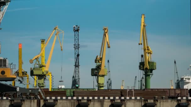 Work Cranes Seaport Time Lapse — Stock Video