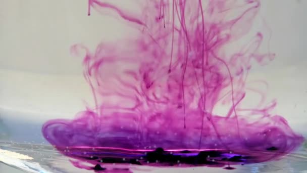 Des cristaux violets de permanganate de potassium se dissolvent dans le tourbillon d'eau 
