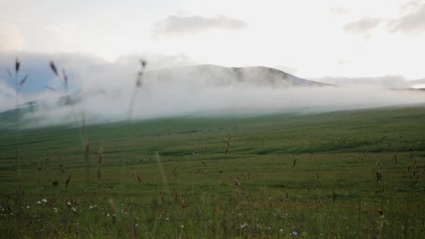 Uitzicht Bergen Mist Avond — Stockvideo