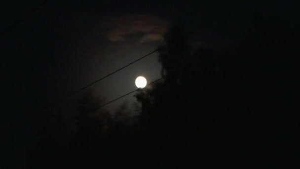 Blick Aus Dem Zugfenster Spät Der Nacht Vollmond — Stockvideo