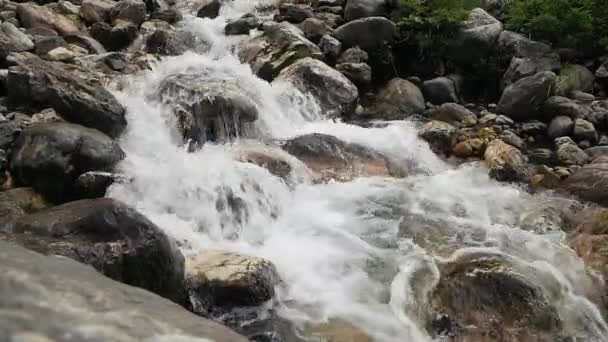 Dağlarda Vahşi Bir Nehir Yüksek — Stok video
