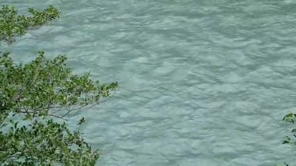 Bir Dağ Nehrinin Hızlı Akıntısı — Stok video
