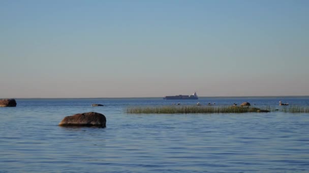 Widok Cichą Zatoką Statek Opuszcza Port — Wideo stockowe