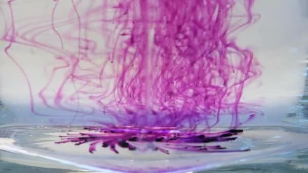Purple Crystals Potassium Permanganate Dissolve Whirlpool Water — Stock Video