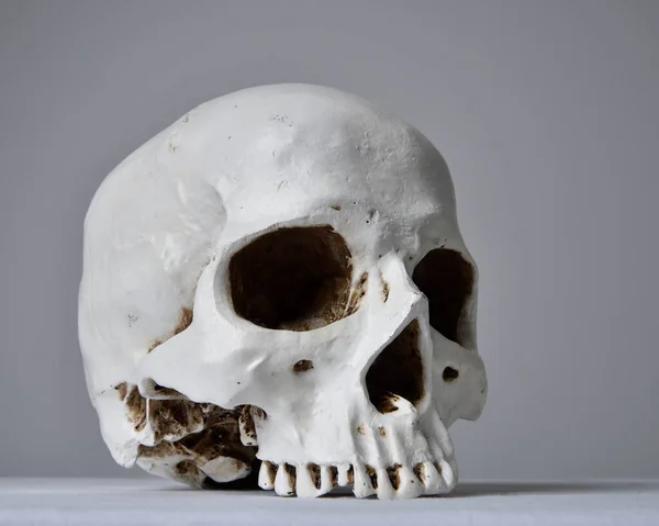 Primer Plano Retrato Porcelana Cráneo Humano Sobre Mantel Blanco Sobre — Foto de Stock