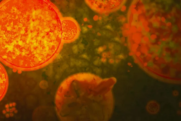Abbildung Hintergrund, Coronavirus-Präventionskonzept, Ausbreitung o — Stockfoto
