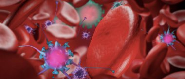 Coronavirus veya covid 19 ve DNA molekül araştırması, kırmızı kan hücreleri ve kök hücre insan hücresi kan damarlarında ve konsept solunum sistemi ve eritrosit, üç boyutlu resimleme, panoramik panoramik panoramik