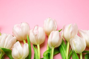 Güzel pembe ve Beyaz Lale pembe bir arka plan üzerinde. Bahar akışı. St Sevgililer günü için bir hediye