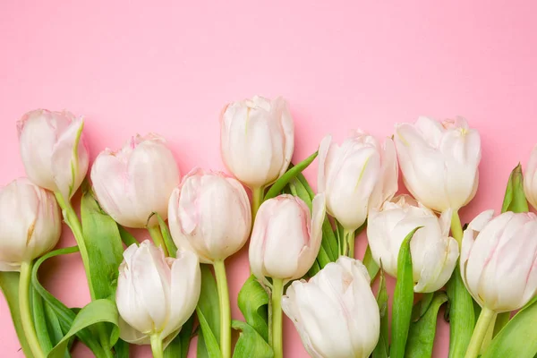 Güzel pembe ve Beyaz Lale pembe bir arka plan üzerinde. Bahar çiçekleri. Kartpostal 8 Mart
