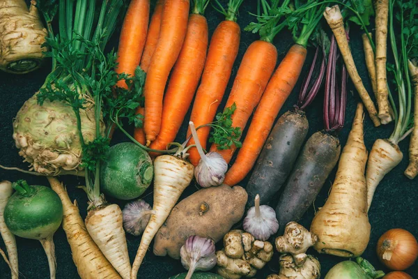 Root crops, carrots, parsley root, turnip, onion, garlic, Jerusalem artichoke, horseradish. Root crops background. Food background