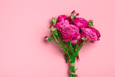 Gül, pion şeklindeki gül pion şeklinde bir renkli arka plan, pembe gül buketi pion şeklinde. St. Valentine's gün ve 8 Mart için hediye. Gül