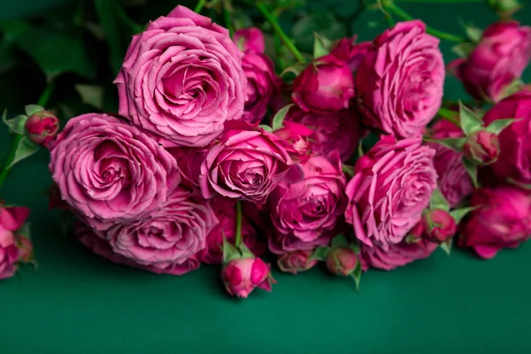 Pion-alakú rózsák, egy-egy csokor színes háttéren, pion-alakú Rózsa Rózsaszín rózsák pion-alakú. Ajándék St. Valentin nap, és március 8. Rózsa — Stock Fotó