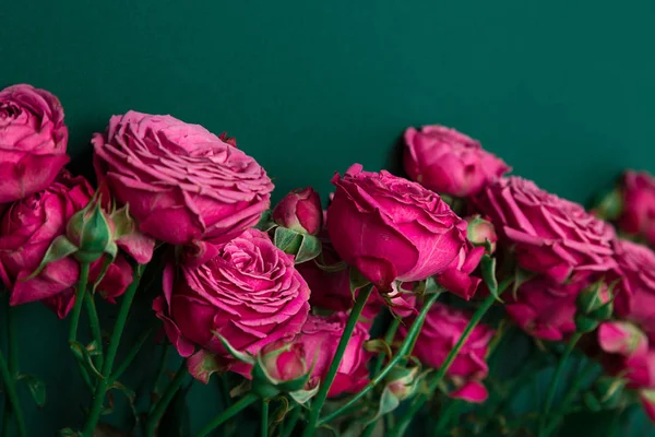 Gül, pion şeklindeki gül pion şeklinde bir renkli arka plan, pembe gül buketi pion şeklinde. St. Valentine's gün ve 8 Mart için hediye. Gül
