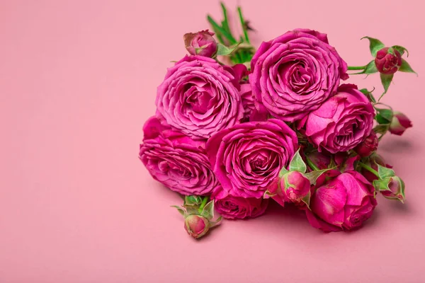 Gül, pion şeklindeki gül pion şeklinde bir renkli arka plan, pembe gül buketi pion şeklinde. St. Valentine's gün ve 8 Mart için hediye. Gül