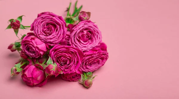 Gül, pion şeklindeki gül pion şeklinde bir renkli arka plan, pembe gül buketi pion şeklinde. St. Valentine's gün ve 8 Mart için hediye. Gül